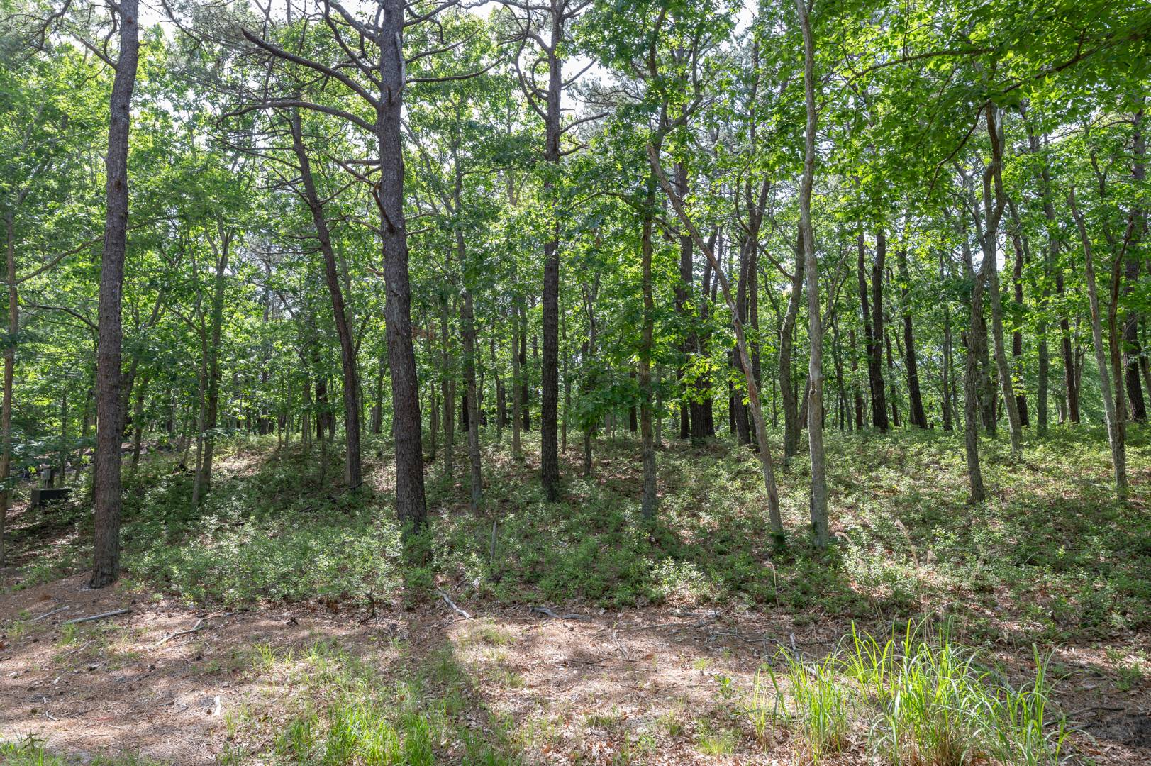795  Old Sag Harbor Road