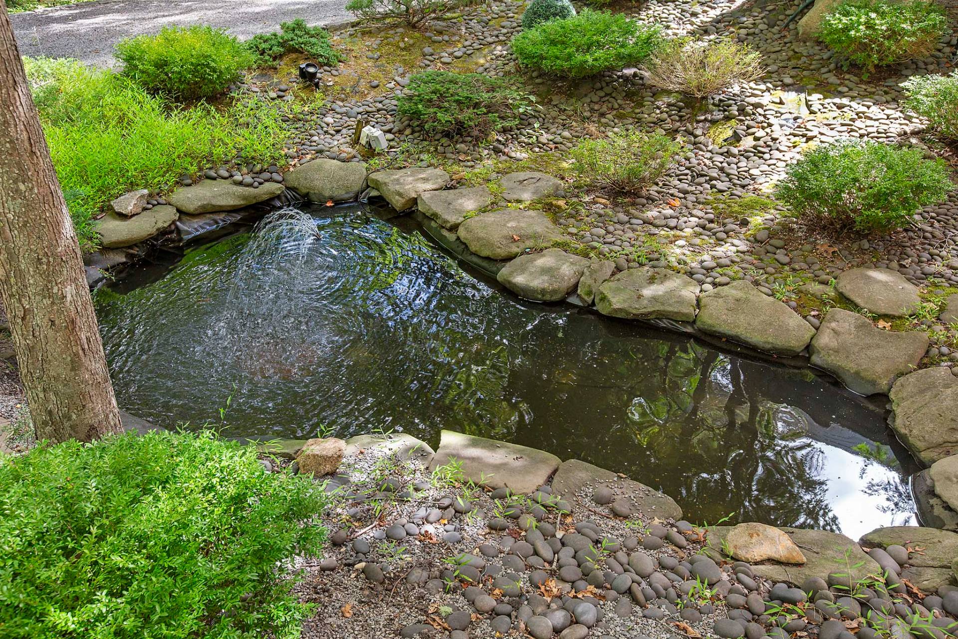 Koi Pond