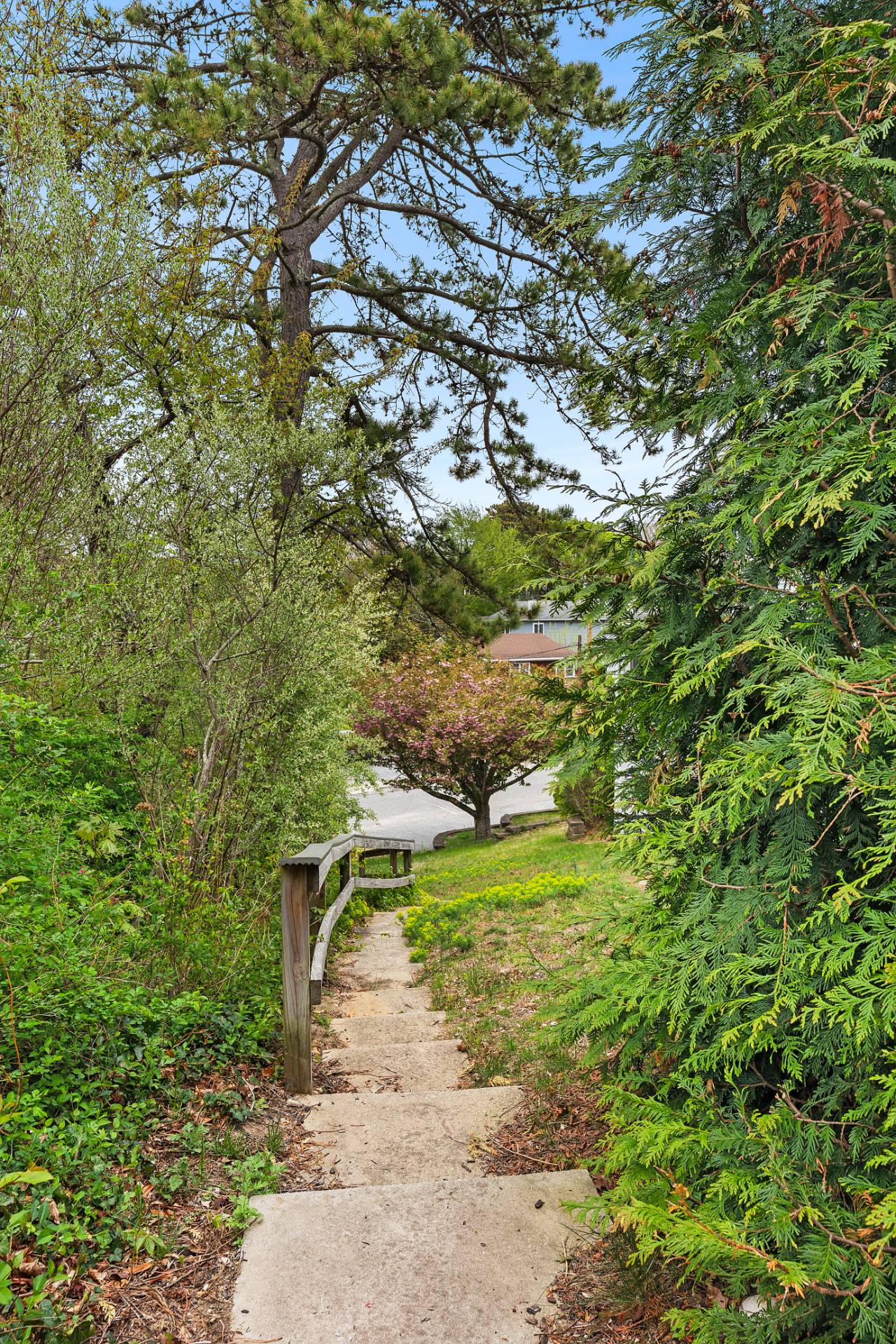 Path to Beach