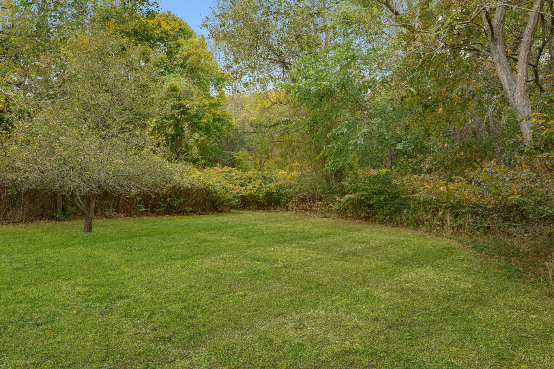 154 Narrow Lane