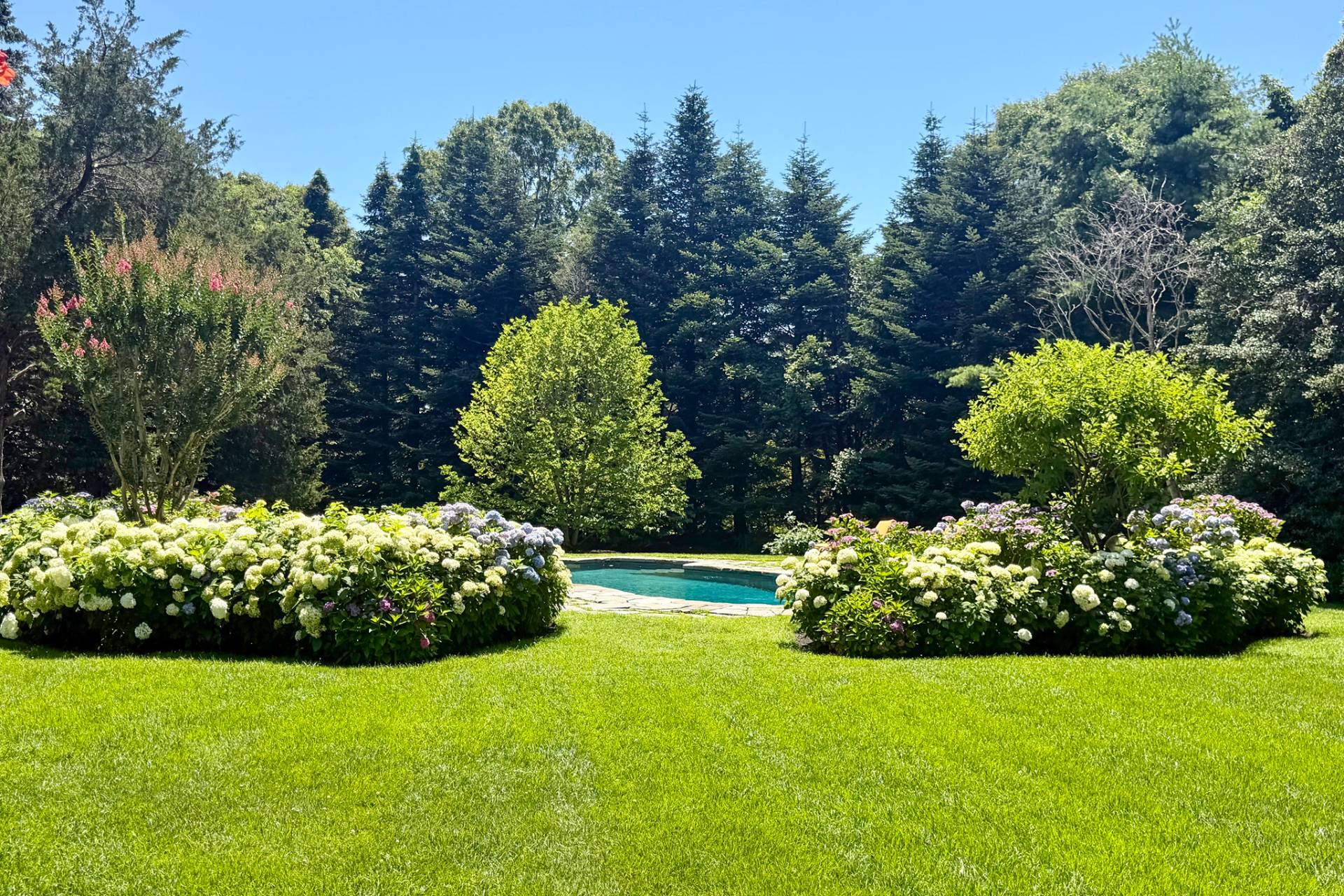 Gunite heated pool