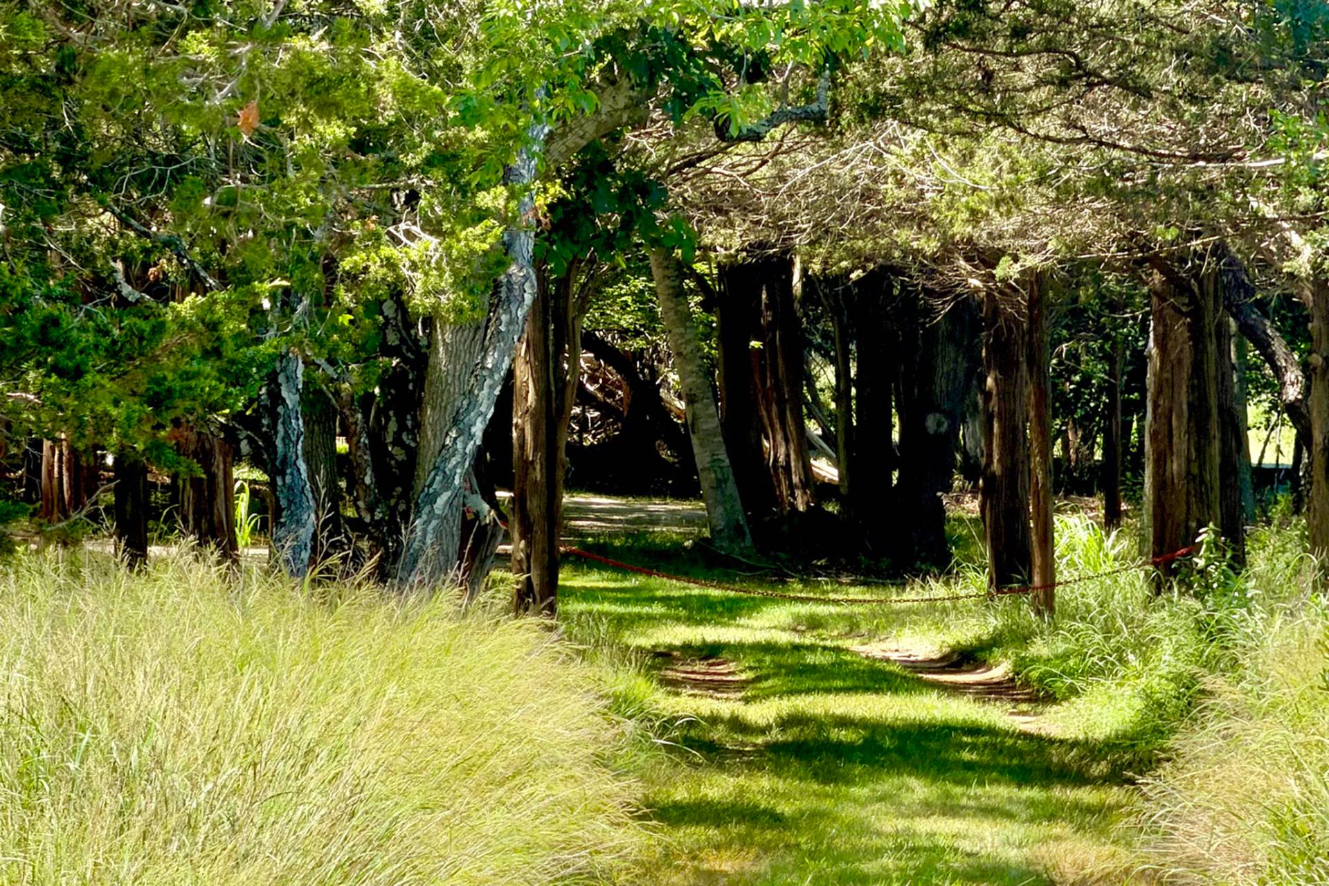 trail